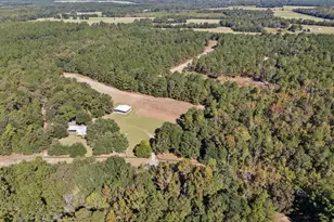7901 Ashleigh Rd, Blackville, SC 29817 - Photo 72