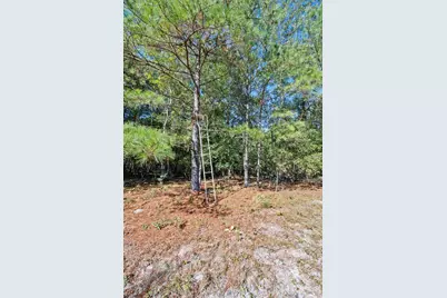 7901 Ashleigh Road, Blackville, SC 29817 - Photo 68