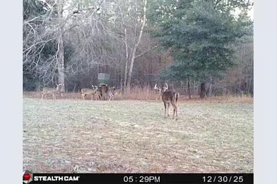 7901 Ashleigh Road, Blackville, SC 29817 - Photo 86