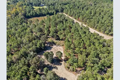 7901 Ashleigh Road, Blackville, SC 29817 - Photo 82