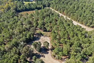 7901 Ashleigh Rd, Blackville, SC 29817 - Photo 82