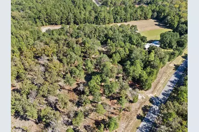 7901 Ashleigh Road, Blackville, SC 29817 - Photo 72