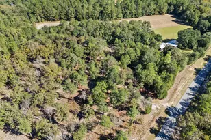 7901 Ashleigh Rd, Blackville, SC 29817 - Photo 72