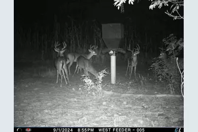 7901 Ashleigh Road, Blackville, SC 29817 - Photo 80