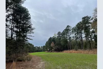 7901 Ashleigh Road, Blackville, SC 29817 - Photo 6