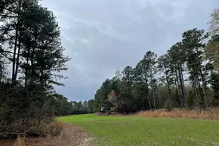 7901 Ashleigh Rd, Blackville, SC 29817 - Photo 6