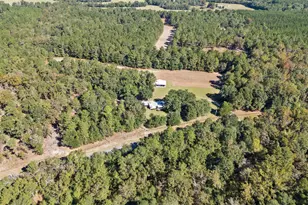 7901 Ashleigh Rd, Blackville, SC 29817 - Photo 76