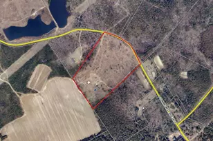 793 Flowing Well Rd, Wagener, SC 29164 - Photo 82