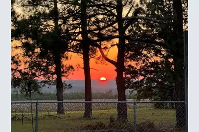 793 Flowing Well Road, Wagener, SC 29164 - Photo 80