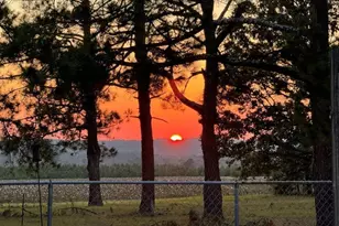 793 Flowing Well Rd, Wagener, SC 29164 - Photo 80