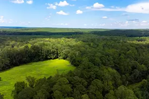 220 Destiny Ln, Aiken, SC 29805 - Photo 28