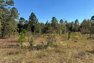 Tbd Pearl Bonnett, Windsor, SC 29856 - Photo 1