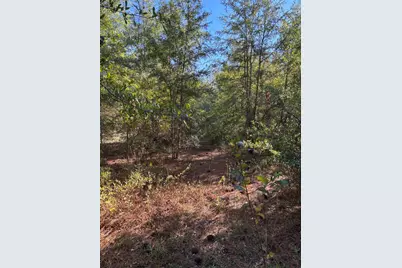 Tbd Pearl Bonnett, Windsor, SC 29856 - Photo 10