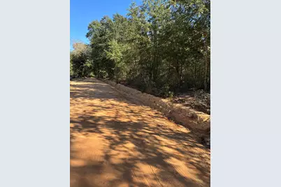 Tbd Pearl Bonnett, Windsor, SC 29856 - Photo 6