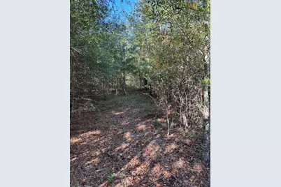 Tbd Pearl Bonnett, Windsor, SC 29856 - Photo 16