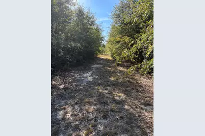 Tbd Pearl Bonnett, Windsor, SC 29856 - Photo 14