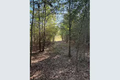 Tbd Pearl Bonnett, Windsor, SC 29856 - Photo 2