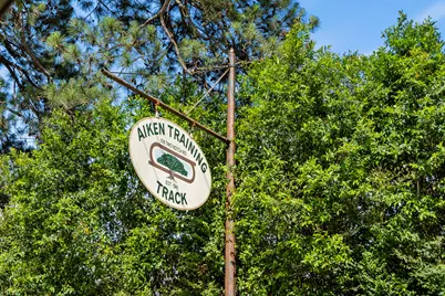 4349 Hartshorn Circle, Aiken, SC 29801 - Photo 70