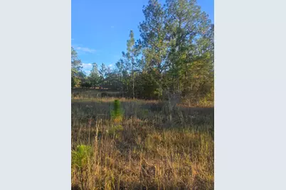 Tbd Hamilton Branch Way, Aiken, SC 29803 - Photo 6