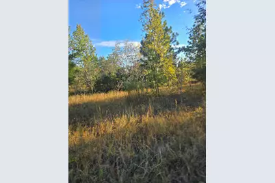 Tbd Hamilton Branch Way, Aiken, SC 29803 - Photo 2