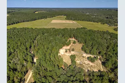 988 Flowing Well Road, Wagener, SC 29164 - Photo 8