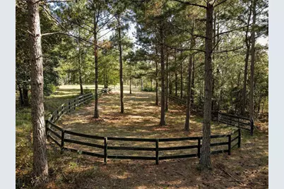 988 Flowing Well Road, Wagener, SC 29164 - Photo 14