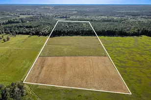 988 Flowing Well Rd, Wagener, SC 29164 - Photo 1