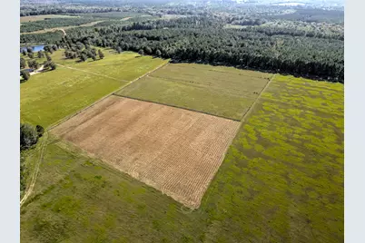 988 Flowing Well Road, Wagener, SC 29164 - Photo 6