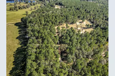 988 Flowing Well Road, Wagener, SC 29164 - Photo 16