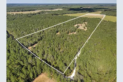 988 Flowing Well Road, Wagener, SC 29164 - Photo 2