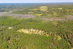 496 Wire Rd, Aiken, SC 29801 - Photo 54