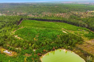 2427 Wire Rd, Aiken, SC 29805 - Photo 40