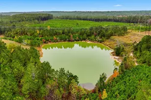 2427 Wire Rd, Aiken, SC 29805 - Photo 46