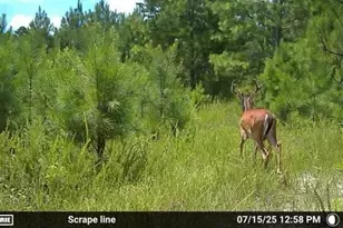 2427 Wire Rd, Aiken, SC 29805 - Photo 48