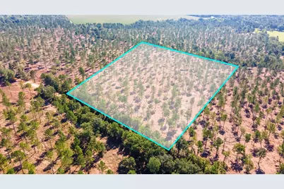 Lot 5 Bluffwood Road, Wagener, SC 29164 - Photo 1