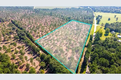 Lot 4 Camp Rawls & Bluffwood Road, Wagener, SC 29164 - Photo 1