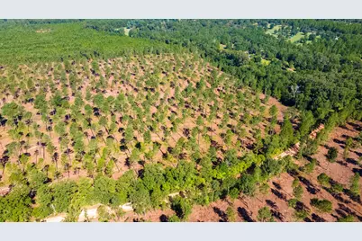 Lot 3 Bluffwood Road, Wagener, SC 29164 - Photo 4