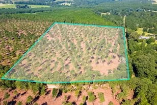 Lot 3 Bluffwood Rd, Wagener, SC 29164 - Photo 1