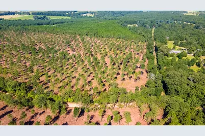 Lot 3 Bluffwood Road, Wagener, SC 29164 - Photo 2