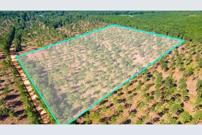 Lot 2 Bluffwood Road, Wagener, SC 29164 - Photo 1