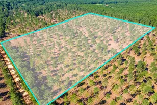 Lot 2 Bluffwood Rd, Wagener, SC 29164 - Photo 1