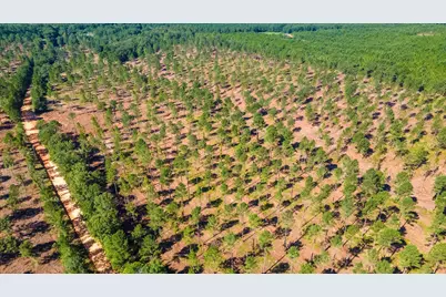 Lot 2 Bluffwood Road, Wagener, SC 29164 - Photo 8