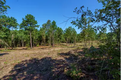 Lot 2 Bluffwood Road, Wagener, SC 29164 - Photo 2