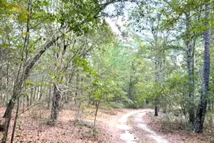 5953 Festival Trail Rd, Salley, SC 29137 - Photo 10