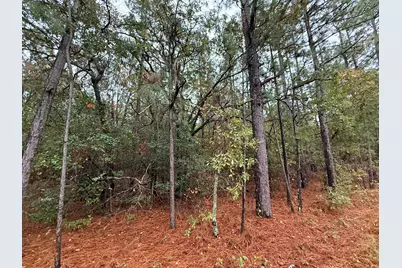 Lot 1 11.06 Acre State Park Road, Windsor, SC 29856 - Photo 4