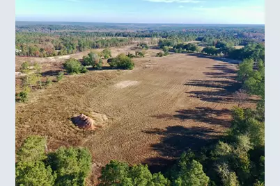 65 Acres Wagener Road, Aiken, SC 29801 - Photo 12