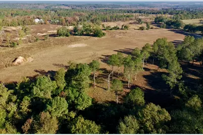 65 Acres Wagener Road, Aiken, SC 29801 - Photo 14