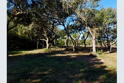 65 Acres Wagener Road, Aiken, SC 29801 - Photo 18