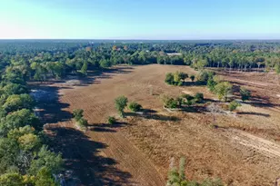 65 Acres Wagener Rd, Aiken, SC 29801 - Photo 1