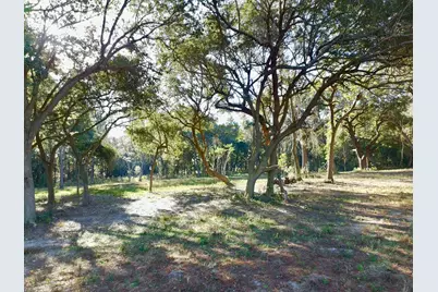 65 Acres Wagener Road, Aiken, SC 29801 - Photo 16